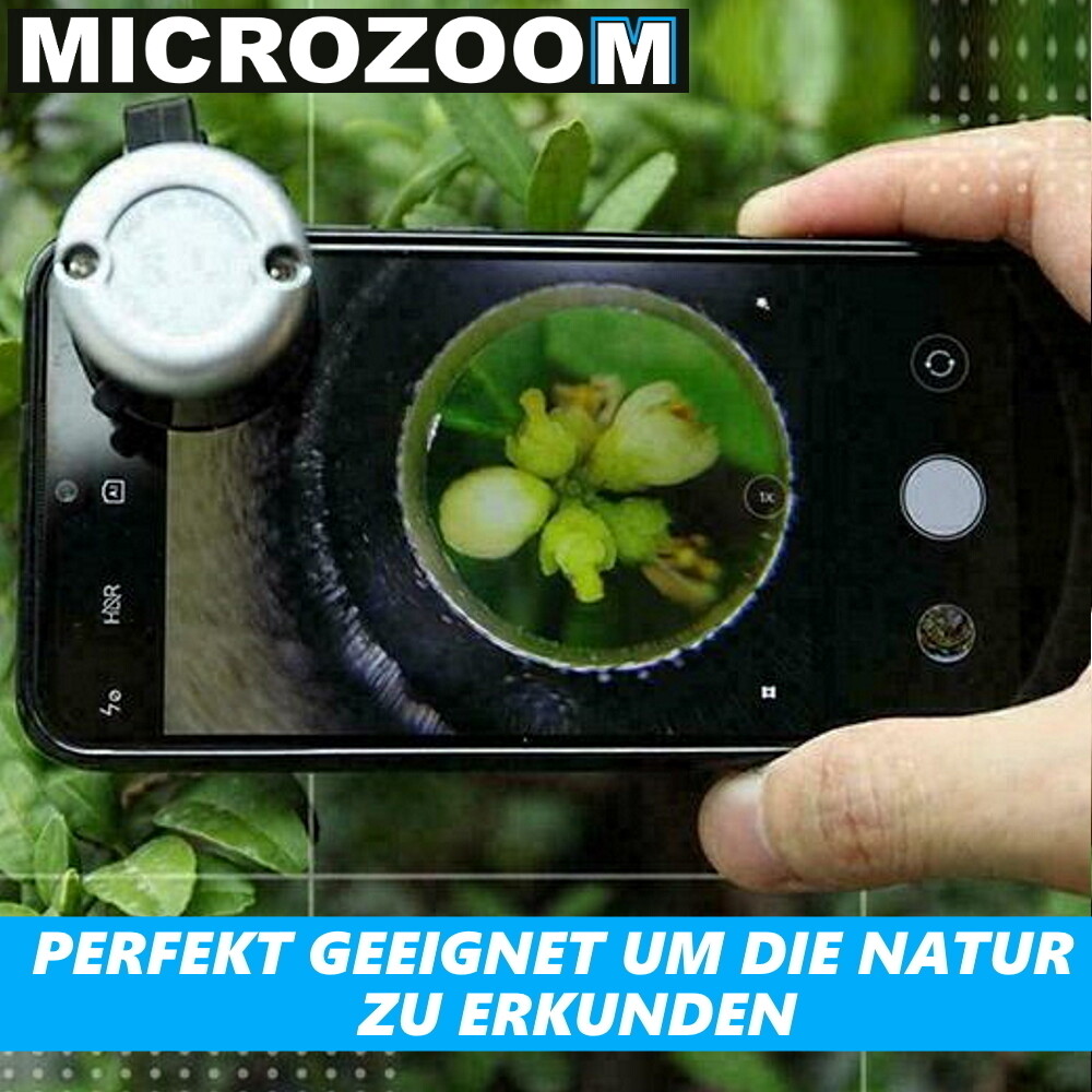 Zdjęcie 5 z 6