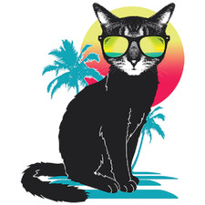 Cool Summer CAT Neon Cat In Sunglasses Tshirt  Sizes/Colors