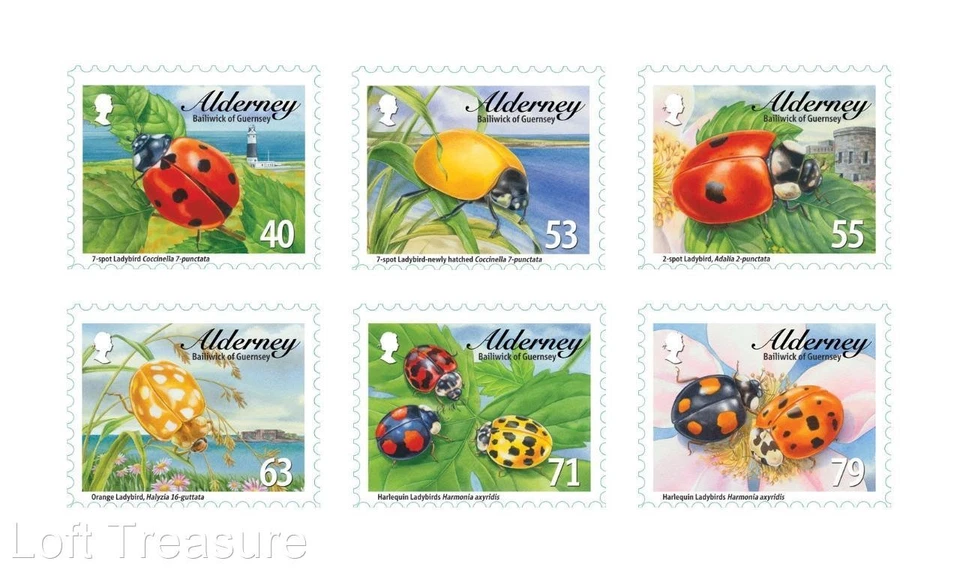 Alderney Stamps: "Alderney Ladybirds" Presentation Pack 2014 - Image 2 of 4