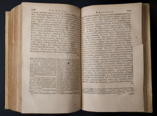 Desiderii Erasmi Roterodami Colloquia, cum notis selectis variorum .. 1729 - Foto 7 di 12