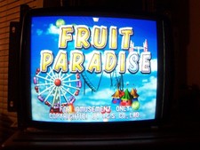 FRUIT PARADISE 8 LINER CHERRY MASTER PCB! WOR...