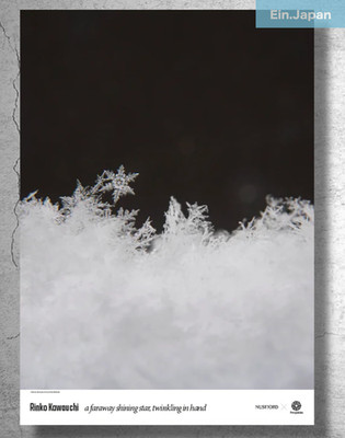Rinko Kawauchi Untitled #1 Poster 50x70cm Fotografiska Stockholm Rare