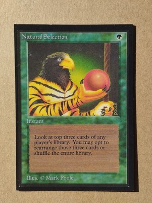 Natural Selection, MTG, International Edition