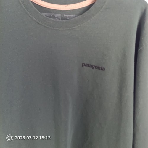 Patagonia Shirt Mens Large Green Long Sleeve Logo Graphic Outdoors Hiking Tee - Picture 5 of 5