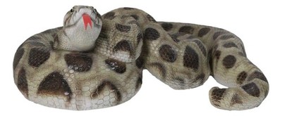 Realistic Ferocious Coiled Boa Snake Hand Painted Taxidermy Statue