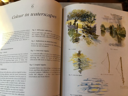 Watercolor Instruction Book-- "PAINTING THE COLORS OF NATURE" - Picture 7 of 10