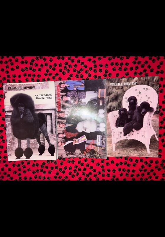 POODLE REVIEW Magazine #23 1997 (lot 3)