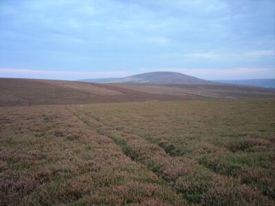 Foto 6x4 Turm Gesetz Moorland läuft südlich nach Spartleton.  Deep heather wi c2006