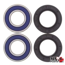 KIT CUSCINETTI RUOTA POSTERIORE BETA EVO 2T 125 2011-2013 ALL BALLS 25-1070