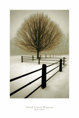 Solitude by David Lorenz Winston Art Print Tree Landscape Photo Poster 24x36