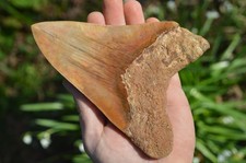 A18,   MASSIVE!   6.15