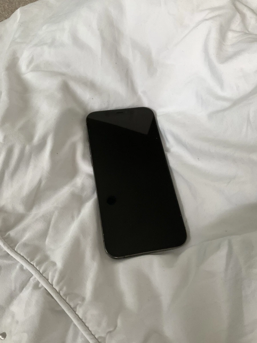 Las mejores ofertas en Apple iPhone 12 Pro Max 256GB | eBay
