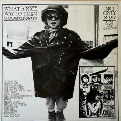 LP What A Nice Way To Turn Seventeen No. 3 Various NEAR MINT Rather Records
