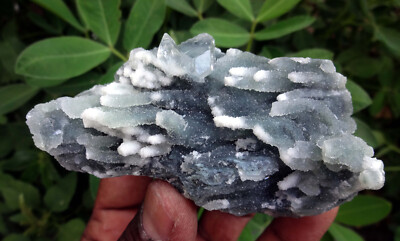 apophyllite w/ chalcedony coral-matrix minerals specimen m-5