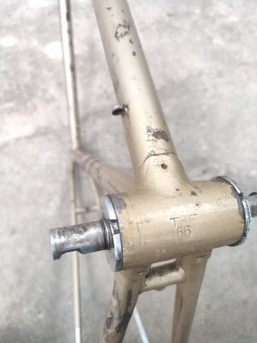 G vintage telaio frame 28" 55 x 55 frejus tour de France 1950 Bici Bike Eroica - Imagen 12 de 12