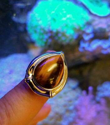 Elle 925 Tiger Eye Size 7 With Ruby Stone