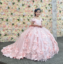 Pink Shiny V-Neck Flower Girls Dress Off Shoulder Princess Ball Gown Flower Tull