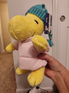 Cvs Woodstock | eBay