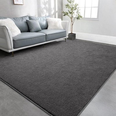 TWINNIS Large Area Rugs for Living Room Bedroom, 4x6 Feet, Dark Grey 