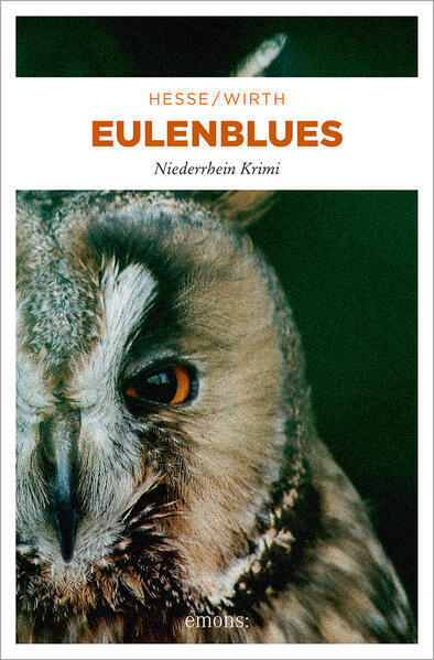 Thumbnail - Eulenblues | Thomas Hesse, Renate Wirth | 2012 | Deutsch