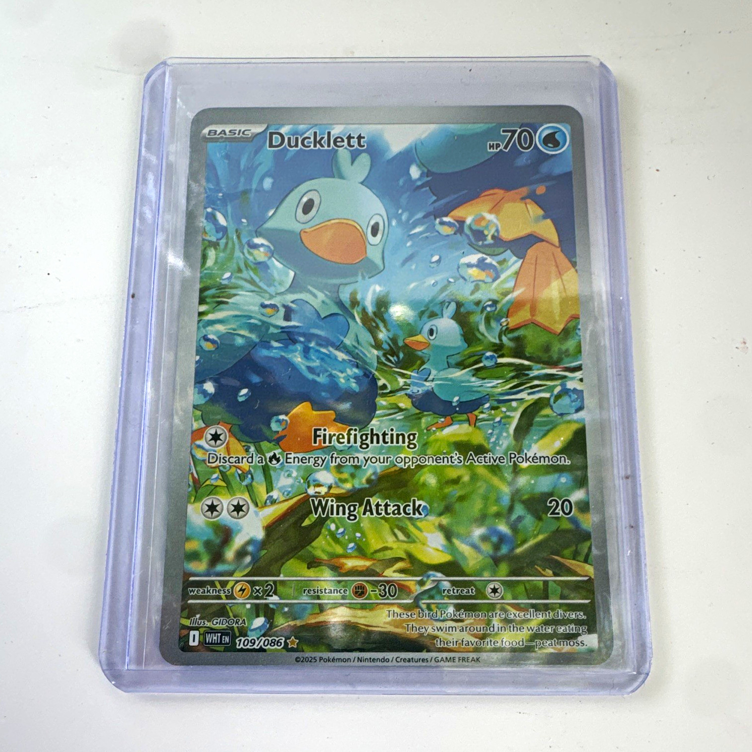 Pokemon TCG Ducklett 109/086 Sv: White Flare Illustration Rare Holo EN 70HP