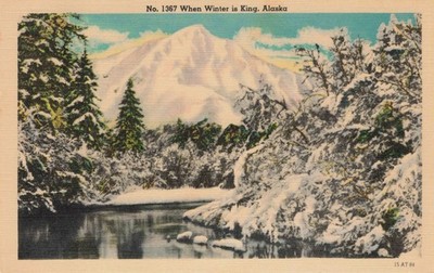 Postcard When Winter is King Alaska AK