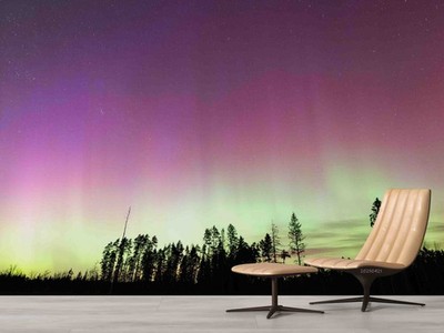 3D Forest Aurora Night Scene Wallpaper Wall Murals Removable Wallpaper 11