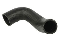 Thermotec Ladeluftschlauch DCG262TT FüR Ford