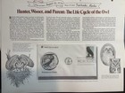 1978 American Owls First Day Cover Fairbanks AK Reader’s Digest Set Scott — photo 2