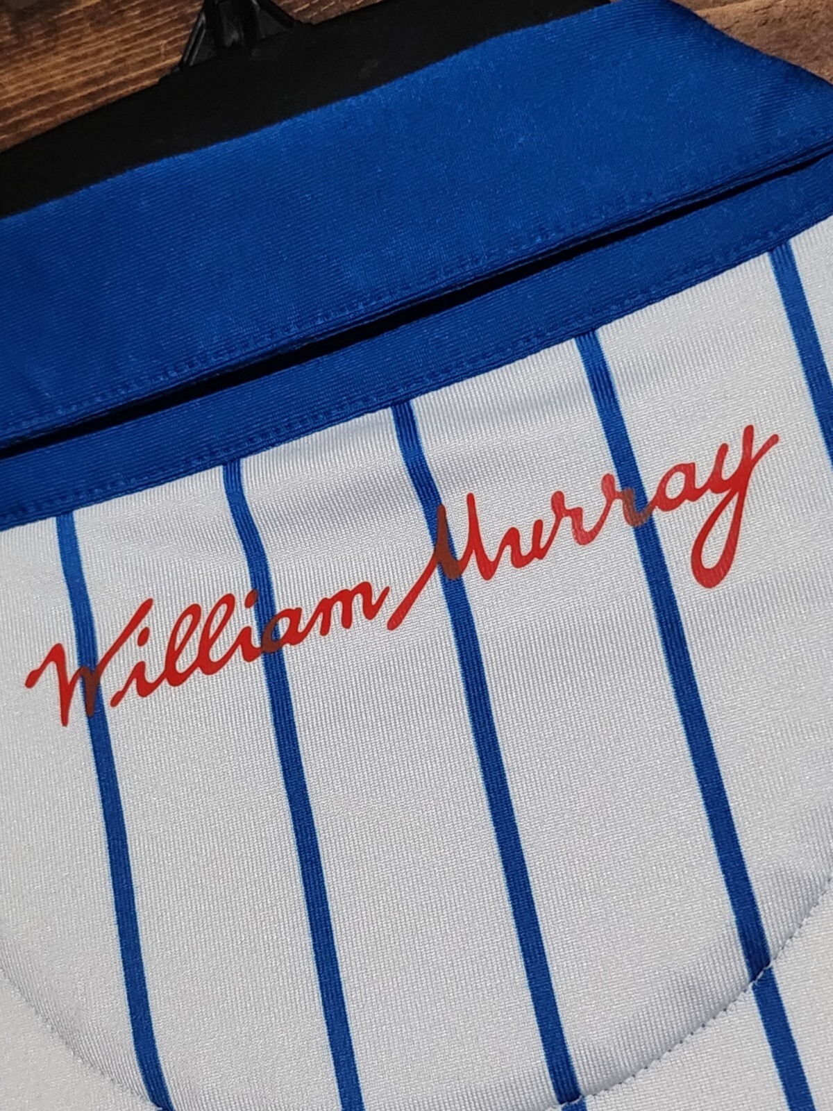RARE William Murray WORLD SERIES Chicago Cubs WRIGLEY FIELD 'This Is The Year' L image 4