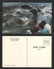 1960s WHALE WATCHING HUMPBACK WHALE CAPE COD MASSACHUSETTS POSTCARD