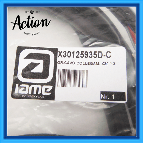 GO KART IAME X30 & RL LEOPARD WIRING HARNESS LOOM KEY START TYPE 2015
