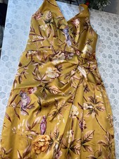 Express Women’s Dress