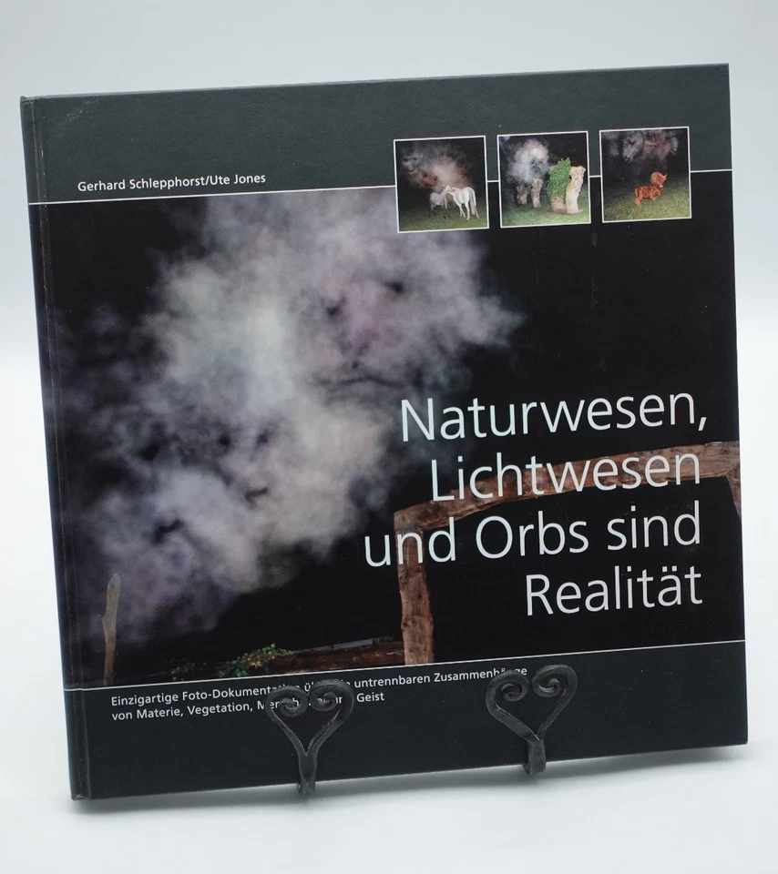 Naturwesen, Lichtwesen und Orbs sind Realität!: Einzigartige Foto Dokumentation - Bild 1 von 4