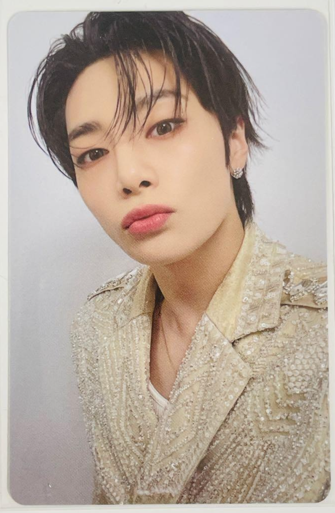 Stray Kids do it SKZOO FIGURE CLIMBING Official Photo card Trading