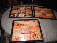 Vintage 1970's Tampa Bay Buccaneers Tailgating Pictures Framed Estate Find