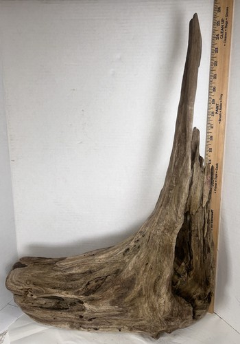 Driftwood Taxidermy Beach Lake Mountain House Wedding Reception Aquarium