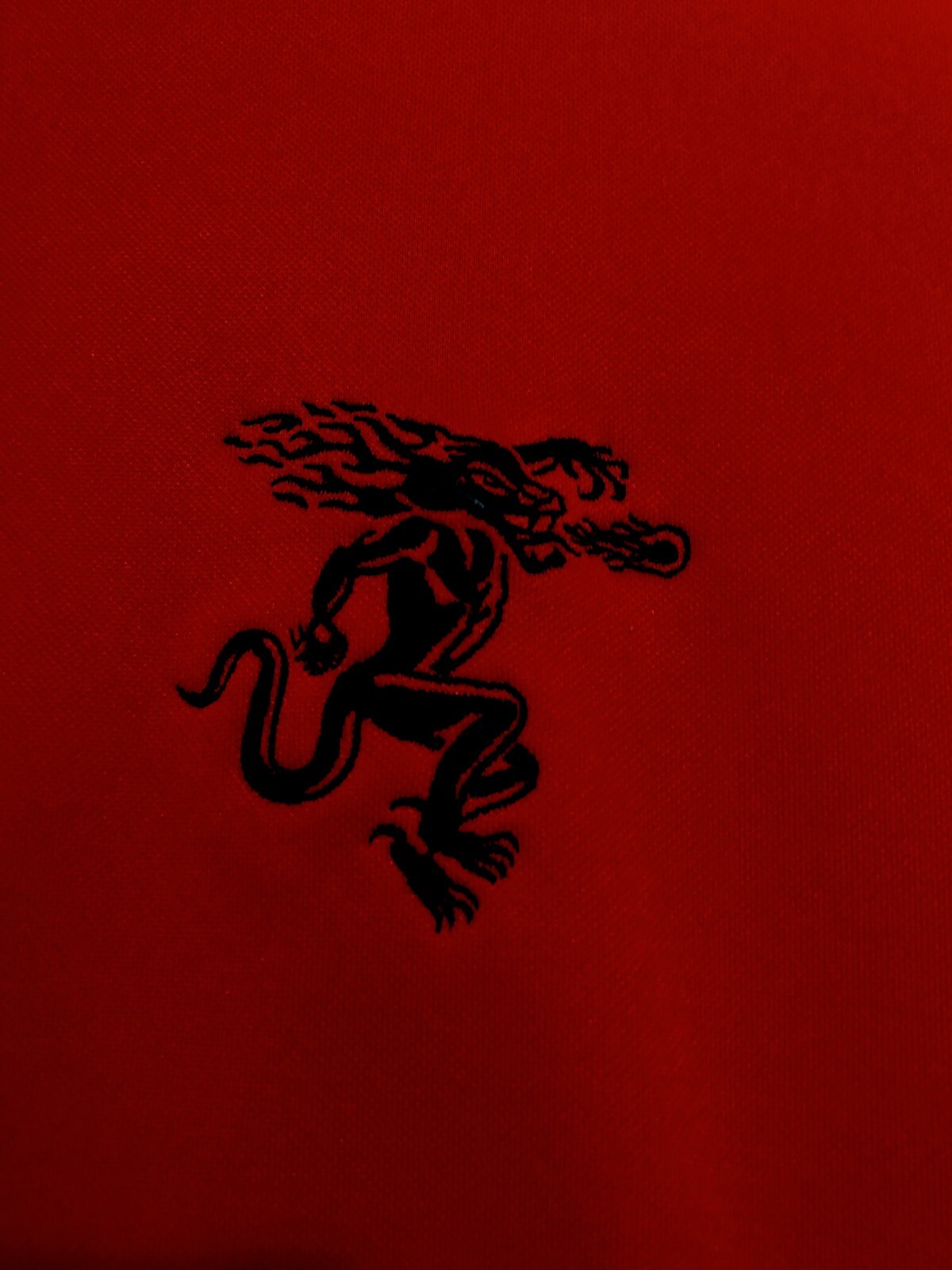 Champion Double Dry Zip Red Black Lined Pockets Short Jacket size M image 2
