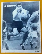 FOOTBALL DOMINIQUE COLONNA STADE DE REIMS RARE PHOTO 22 x 17 VINTAGE 1958