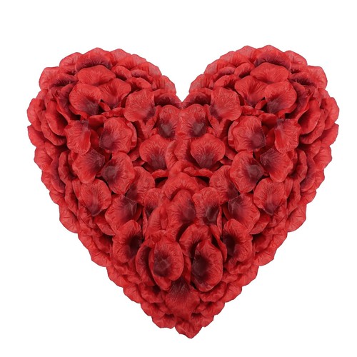 Creating A Floral Arrangement In Memory Of A Loved One - Foto 9