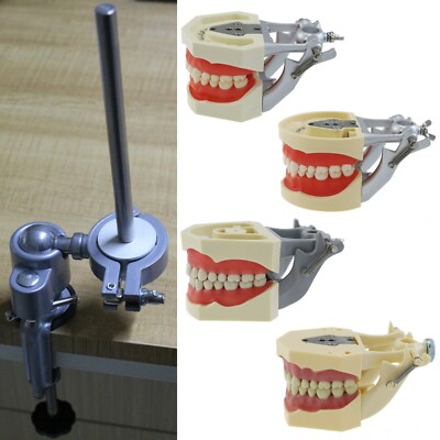 Professionelle 3-in-1 TT Face Lifting Device Skin