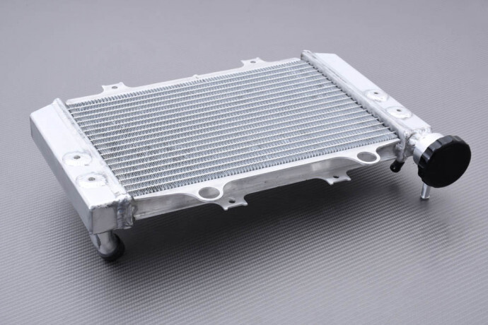 Radiateur d'eau Racing aluminium TVS APACHE 310 RR idéal pour le circuit