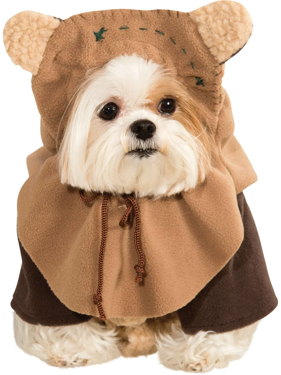 Dog dressed like hot sale cat
