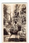 Mt Tamalpais & Muir Woods California CA RPPC Real Photo 1922-1926 Gravity Ride — photo 1