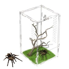 Jumping Spider Enclosure Acrylic Reptile Terrarium Tank Micro 7.9x4.7x4.7 In