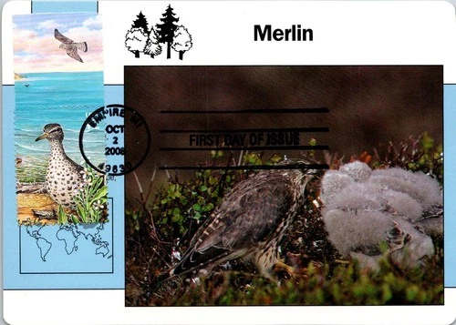 Dr Jim Stamps Maximum Card Spotted Sandpiper 2V Set Fdc