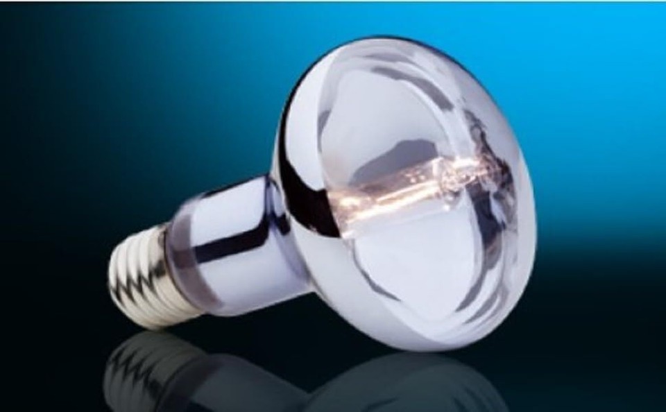 Exo Terra Sun Glo Halogen Basking Spot Lamp, Reptile Light 50 Watts, 50