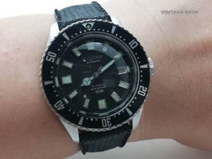 citizen 40mm diver