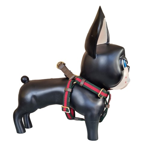 Gucci collare pettorina per cane 692962 UTVAG 493949 - Bild 2 von 7