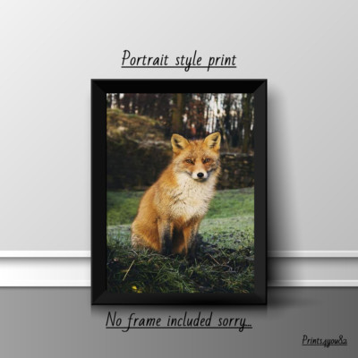 BRAUNER FUCHS A4 DRUCK BILD POSTER WANDBILD WOHNDEKO UNGERAHMT NEU GESCHENK